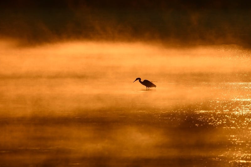 Sunrise in nature